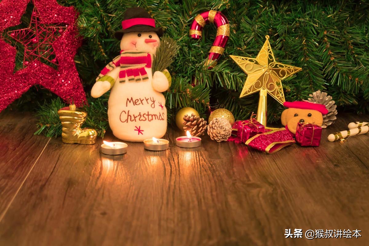 贝肯熊和贝贝熊,贝贝熊贝壳熊