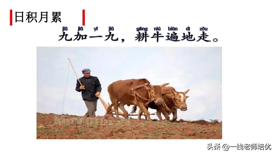 二年级上册语文园地七展示台教学,二年级上册语文园地七的日积月累