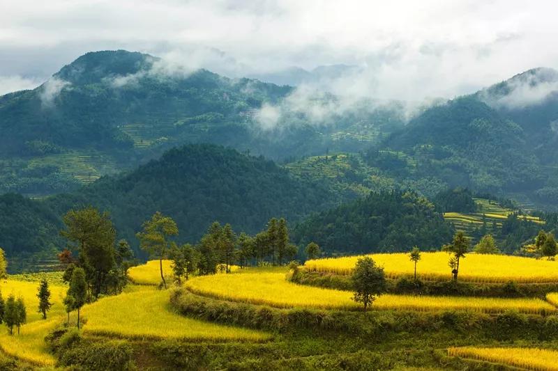 楠溪民宿真赞!推荐一批楠溪江畔精品民宿,你住过吗?(一)