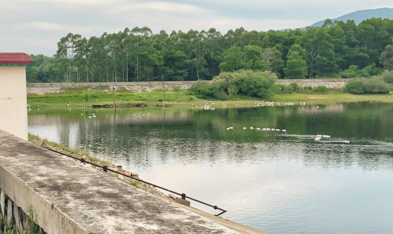 海南省1021座小型水库，都叫什么名字？一次性列举完