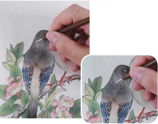 蜡嘴雀工笔画,蜡嘴鸟画画教程