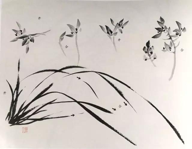 兰花绘画技法教程视频,泰国兰花绘画技法