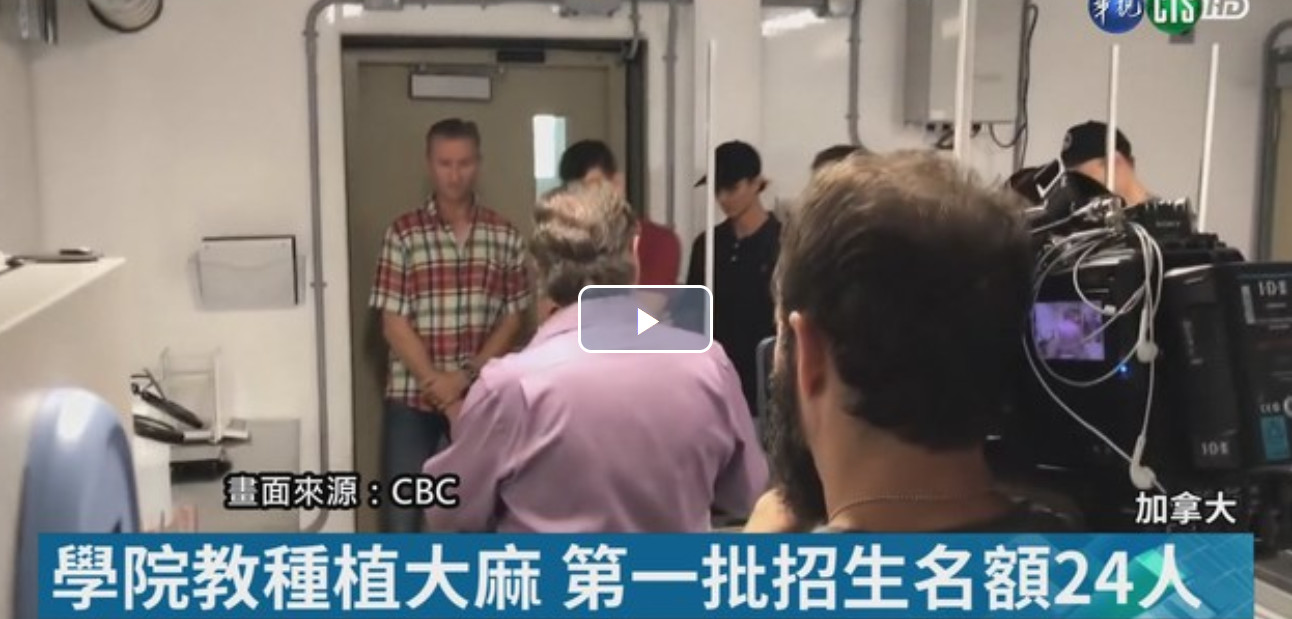 加拿大：*麻大**滞销，帮帮我们