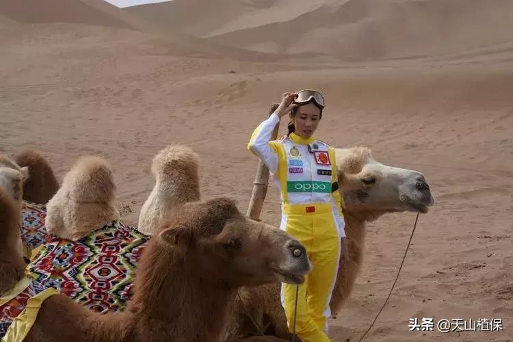 新疆鄯善的景色,新疆既美丽又神秘的地方