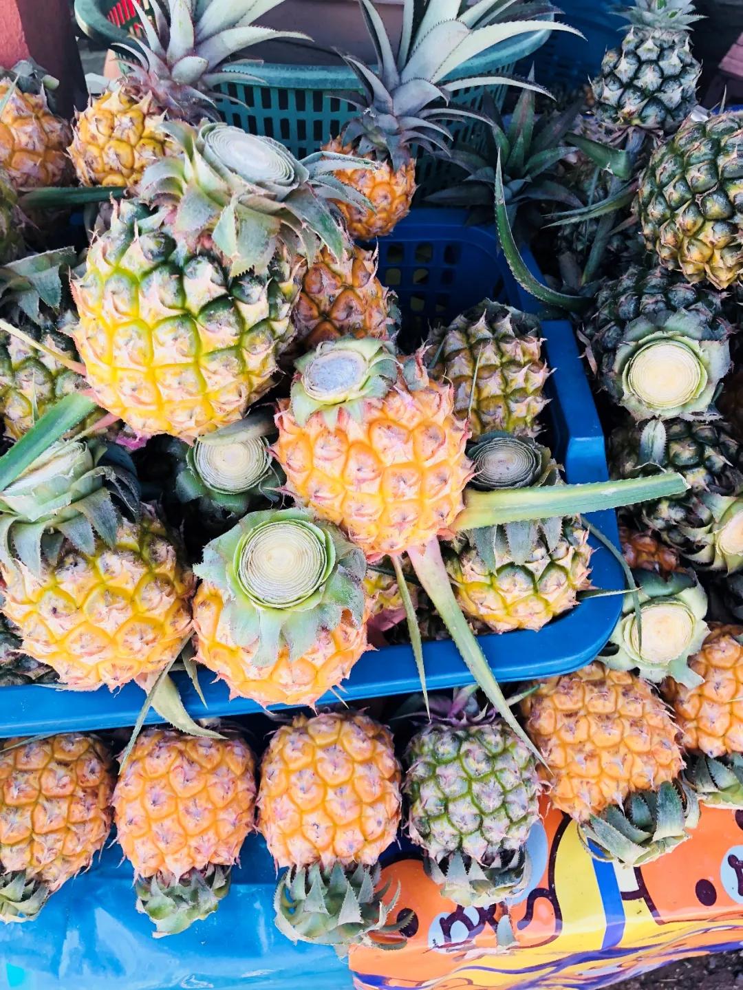 泰国清迈旅游有哪些景点好玩儿,泰国清迈有哪些旅游景点好玩