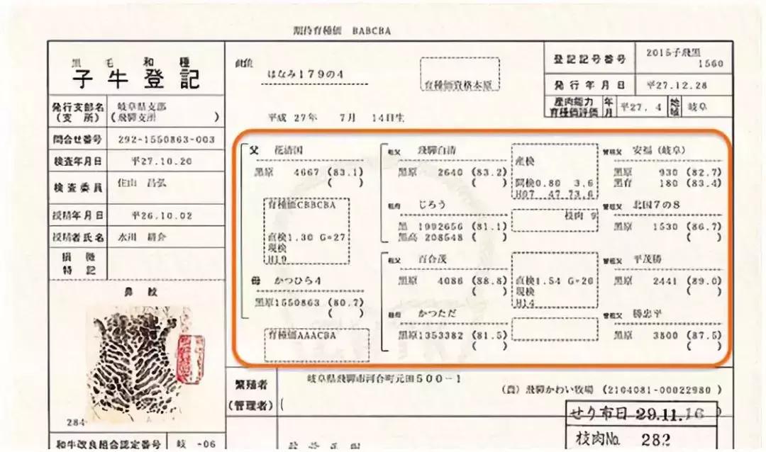 日本“国宝级精液”差点进入中国，吓坏了日本人