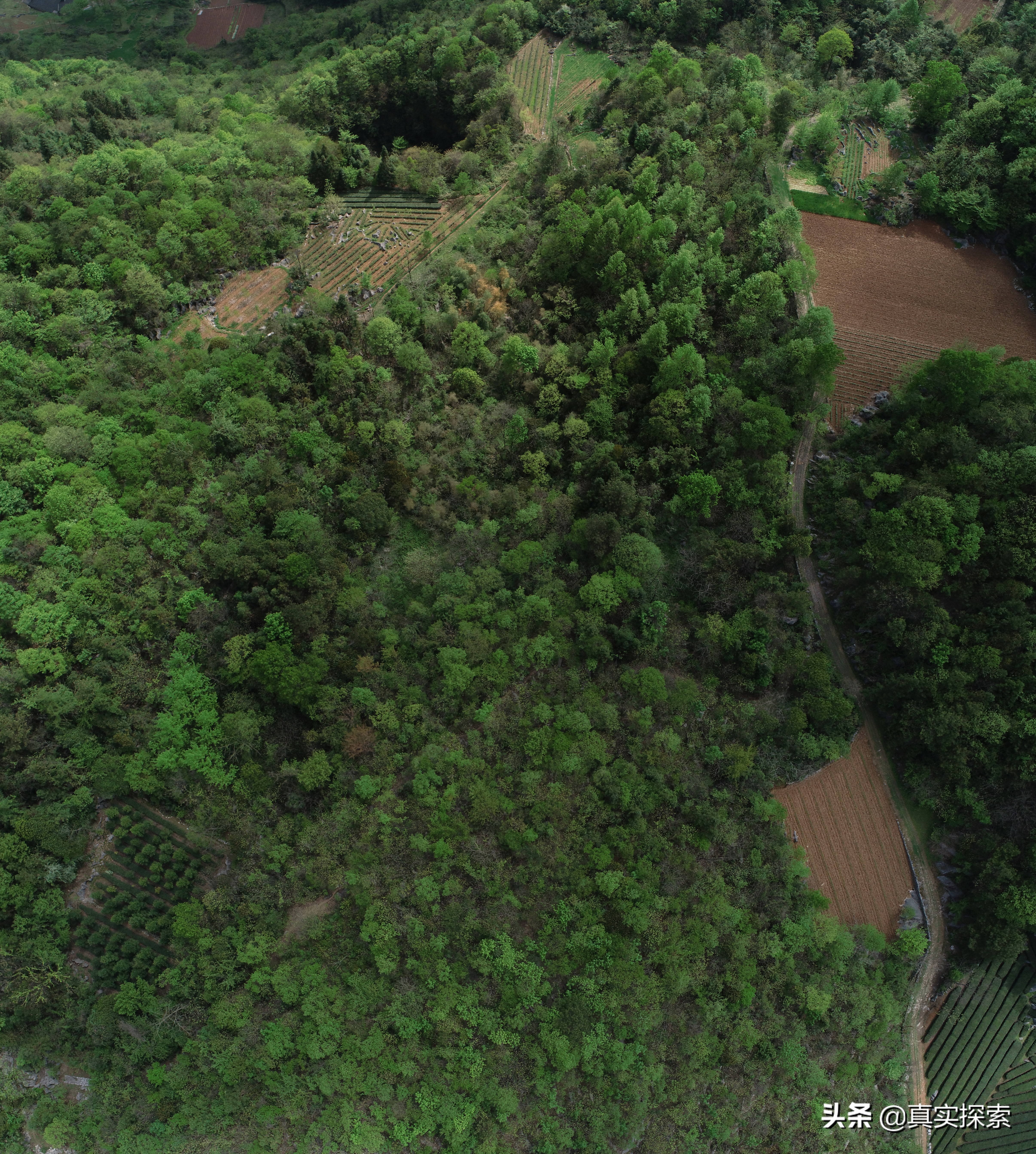 湖北天坑新发现神农架,湖北大山的神秘天坑