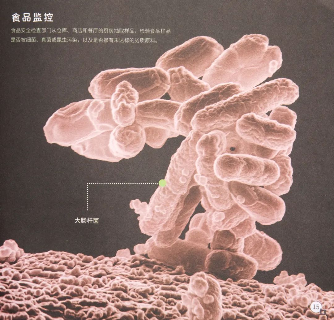 暑假孩子玩手机不如打篮球吧,儿童显微镜放大蚂蚁120倍