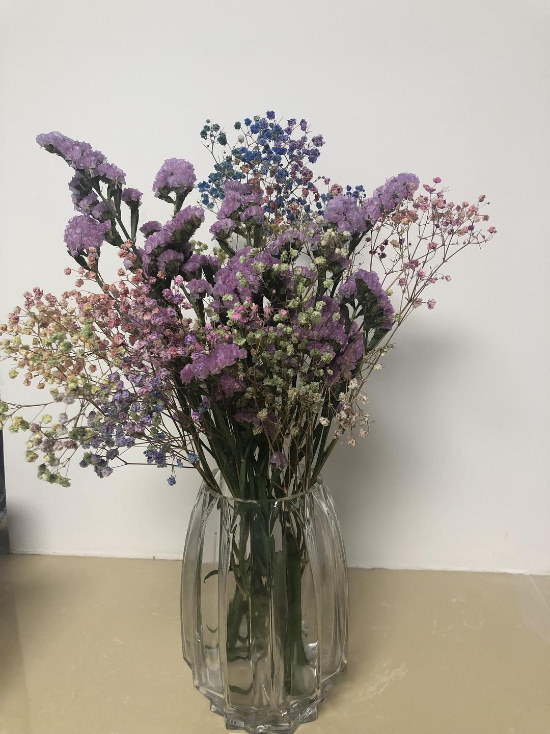 勿忘我绿植怎么养,养花勿忘我