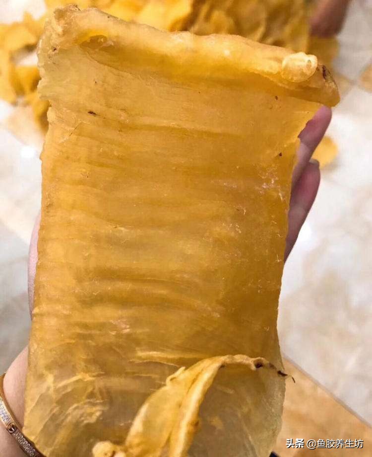 鱼胶知识书籍,鱼胶的知识抖音视频