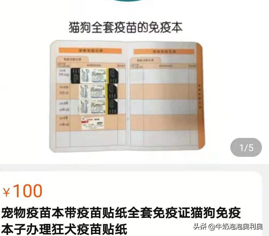 买猫需要疫苗证,买猫咪的时候有疫苗证吗