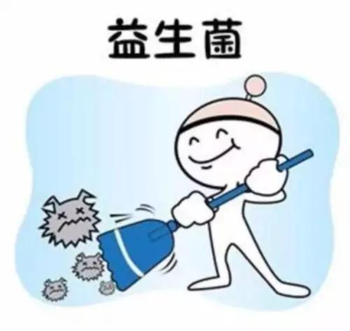 简单易懂的益生菌知识大全,微生物细菌小知识