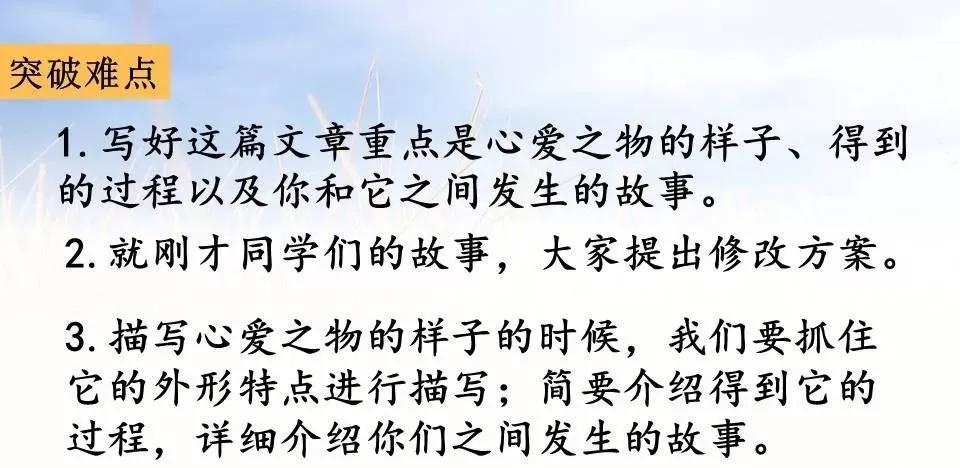 部编五上我的心爱之物作文,五上语文我的心爱之物范文