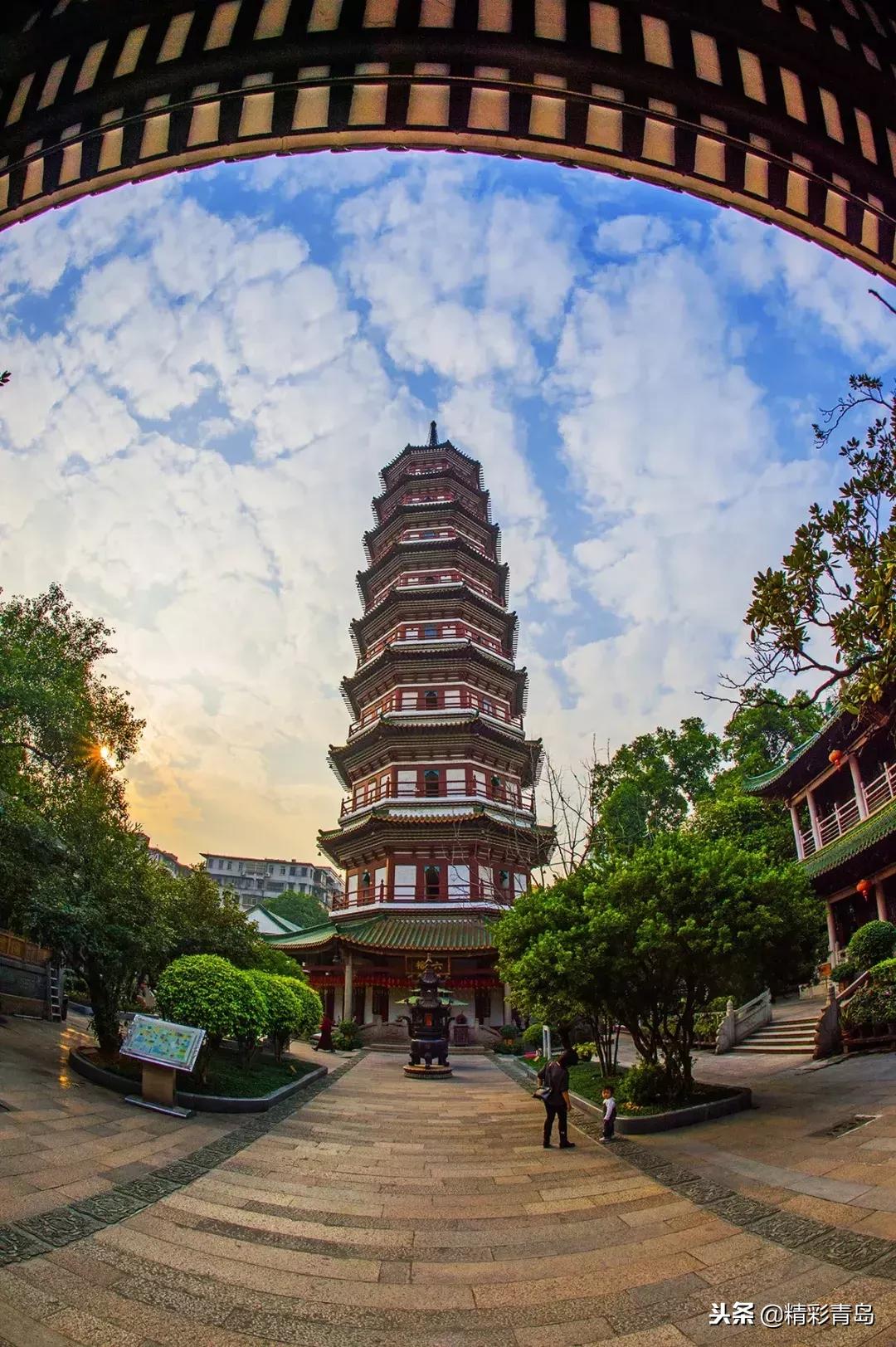 什么是麻雀定律,什么是应激反应表现有哪些