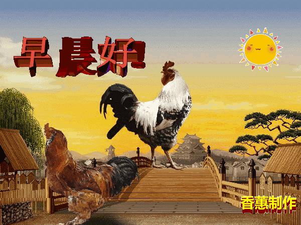 活着就是胜利挣钱只是戏,挣钱只是游戏活着才是胜利