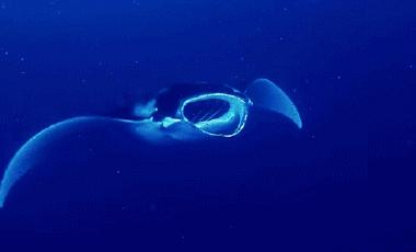 盘点2023年最潮的说唱,盘点2020中国说唱最燃5首歌