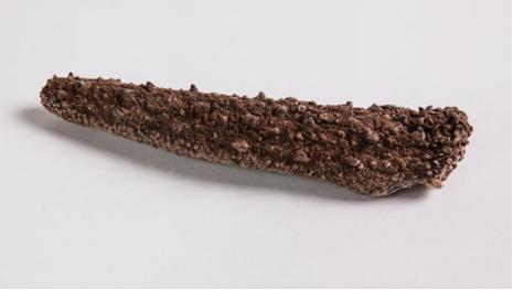 颜颐坊,加拿大海参哪种好