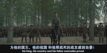 世界大战中的信鸽传奇：以吾一“鸽”之力挽救无数生命