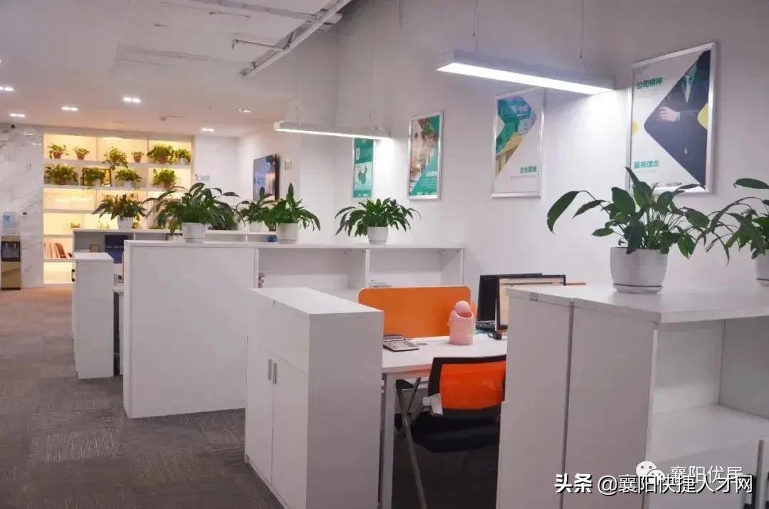 优居总部襄阳,襄阳优居网络科技有限公司