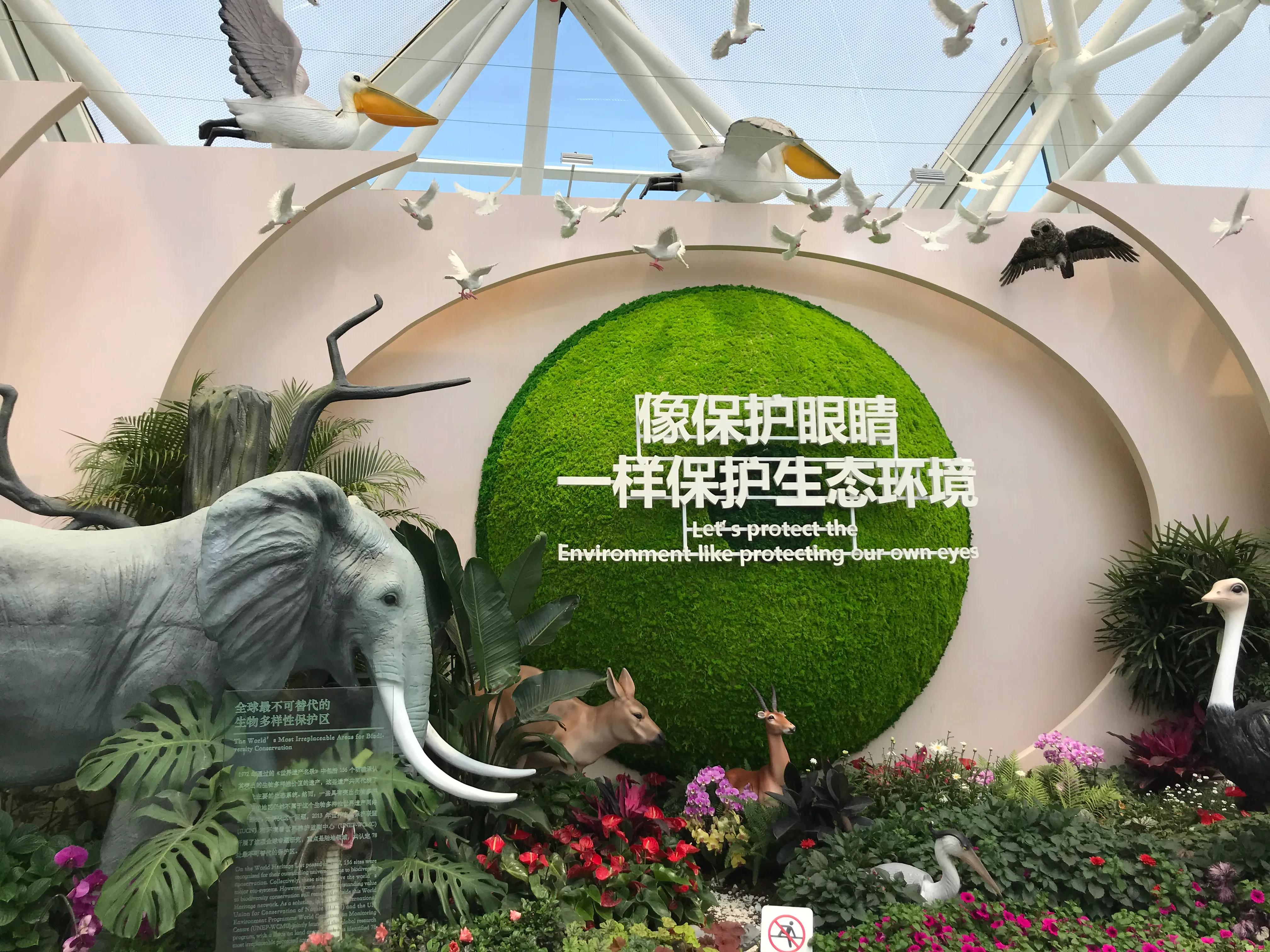 2021扬州世园会园艺微景观创作国际竞赛-世园会国际馆