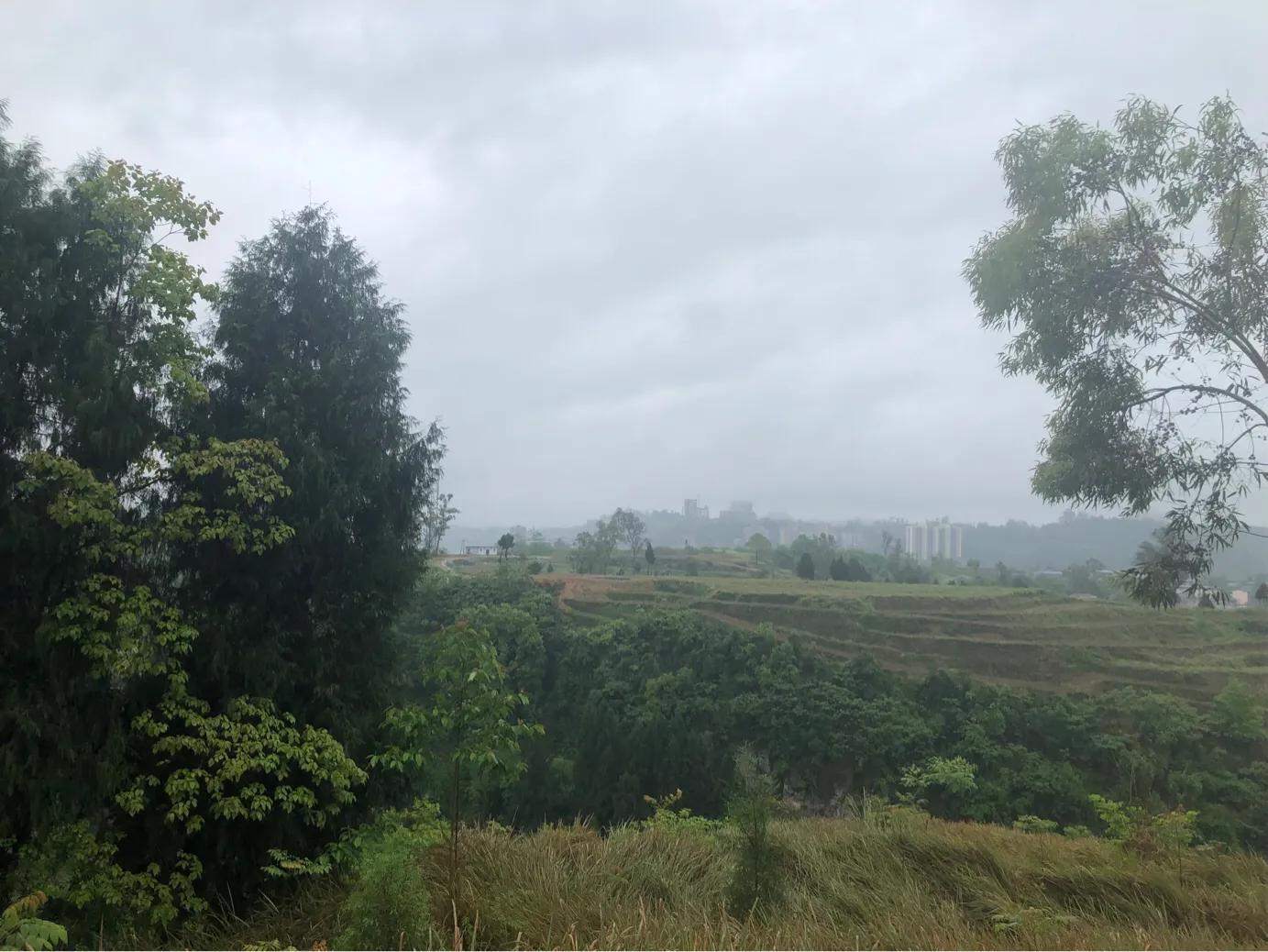 马家岩紫色花树,马家岩宜居