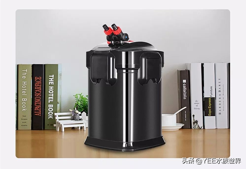 配一套一米的鱼缸多少钱,弄一个鱼缸大概需要多少钱