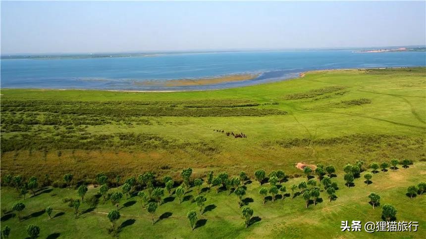 神木市简介风土人情,陕西神木有什么风景区