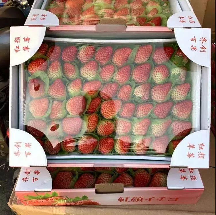 海运车厘子预售,2020海运车厘子到货