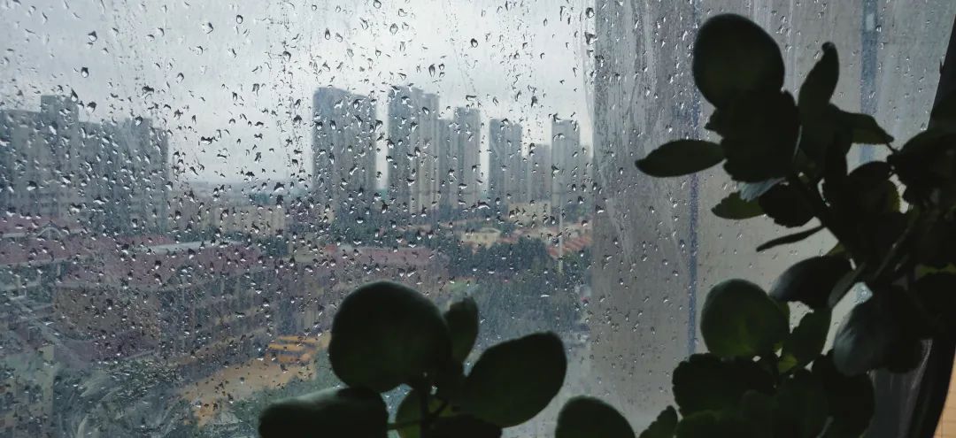 低成本高效除甲醛方法,各种除甲醛方法大pk