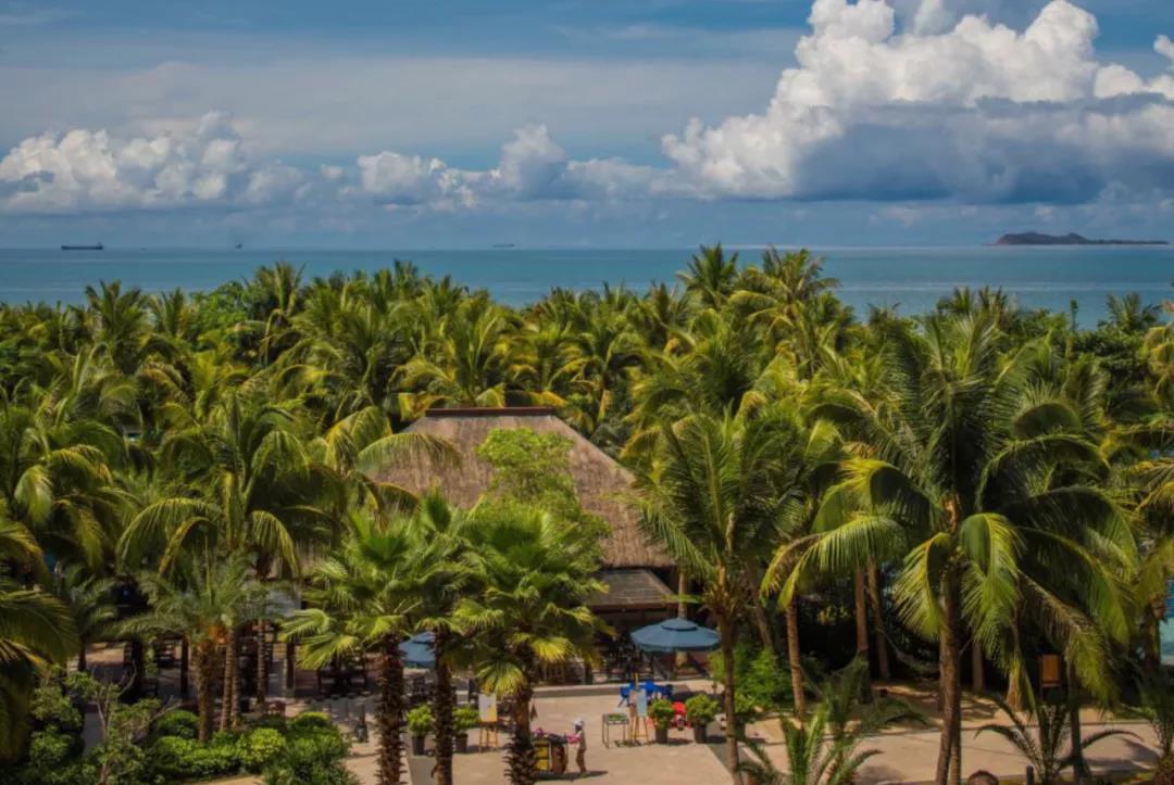 涓藉憟閰掑簵闆嗗洟娴峰崡,鎼虹▼鏃椾笅涓藉憟閰掑簵绠＄悊闆嗗洟