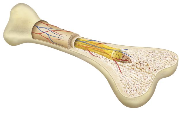 聊聊骨科疾病,聊聊骨科