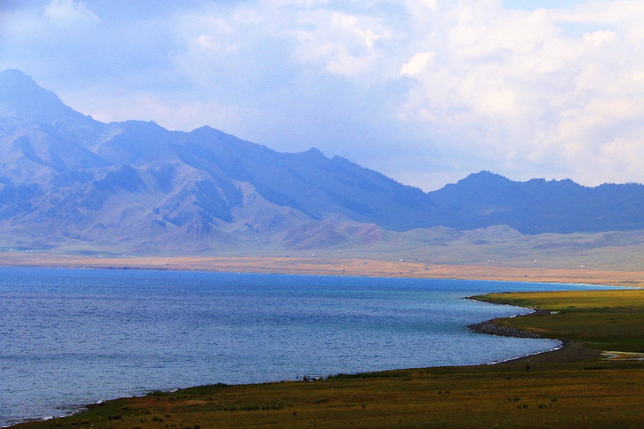 梵高画不出的向日葵,梵高画中的风景