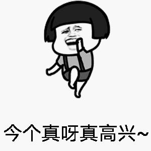 荷兰猪受到惊吓不吃食怎么办,荷兰猪感到不开心的表现