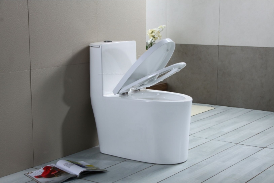 马桶一冲水就漏水怎么处理,楼上厕所漏水马桶周围漏水