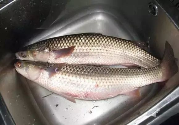 醴陵市海鲜收藏排行榜,海鲜礼盒收藏价格表图