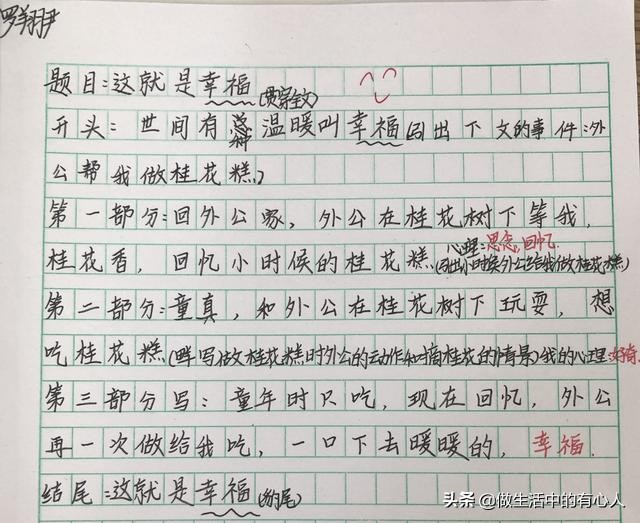 这就是幸福习作例文,这就是幸福优秀作文800