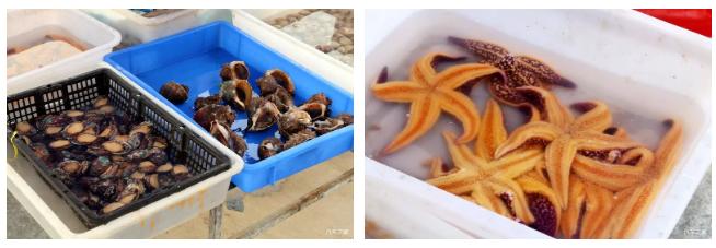 辽宁东戴河哪里的海好玩,辽宁东戴河海边旅游