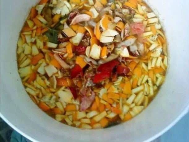 水泡烂苹果,可以喝的“营养液”,干净肥力大,浇啥旺啥,还减肥