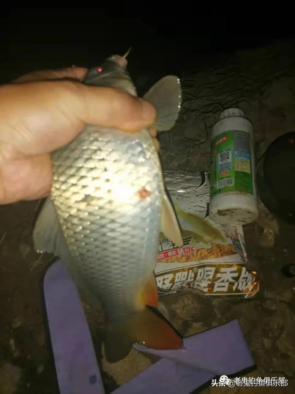 立秋后用蚯蚓钓鲫鱼,立秋以后用腥香饵料