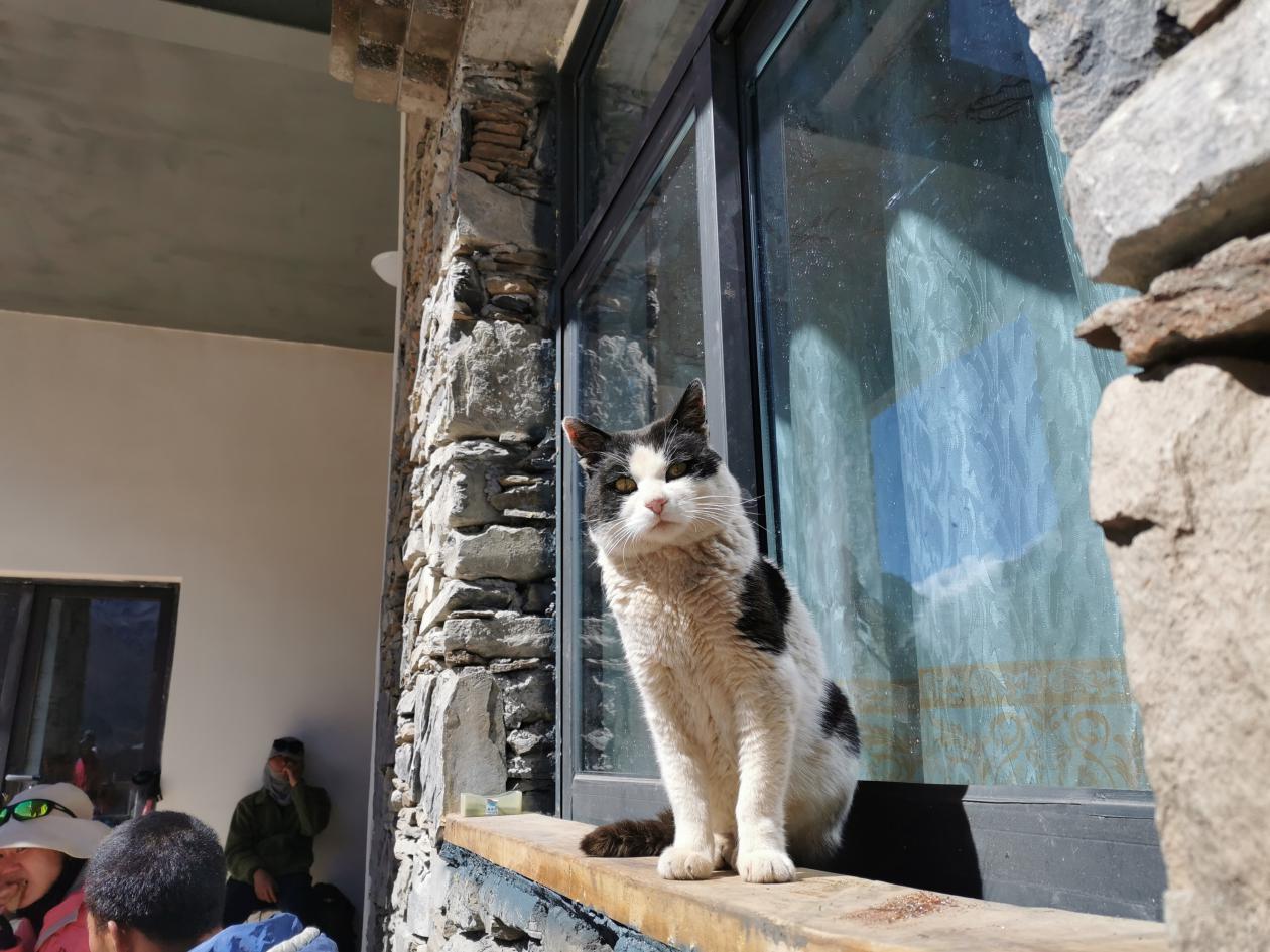 四姑娘山大峰登顶感受,四姑娘山二峰绝望坡有绳索吗