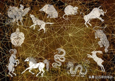 属羊的女人真的命不好吗,为什么都说属羊的女的不好