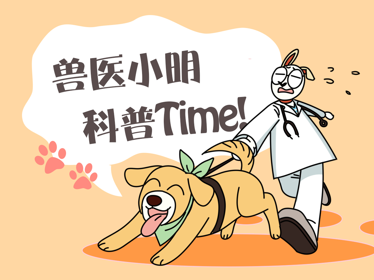 宠物蛇下几次蛋,宠物蛇下的水蛋可以吃吗