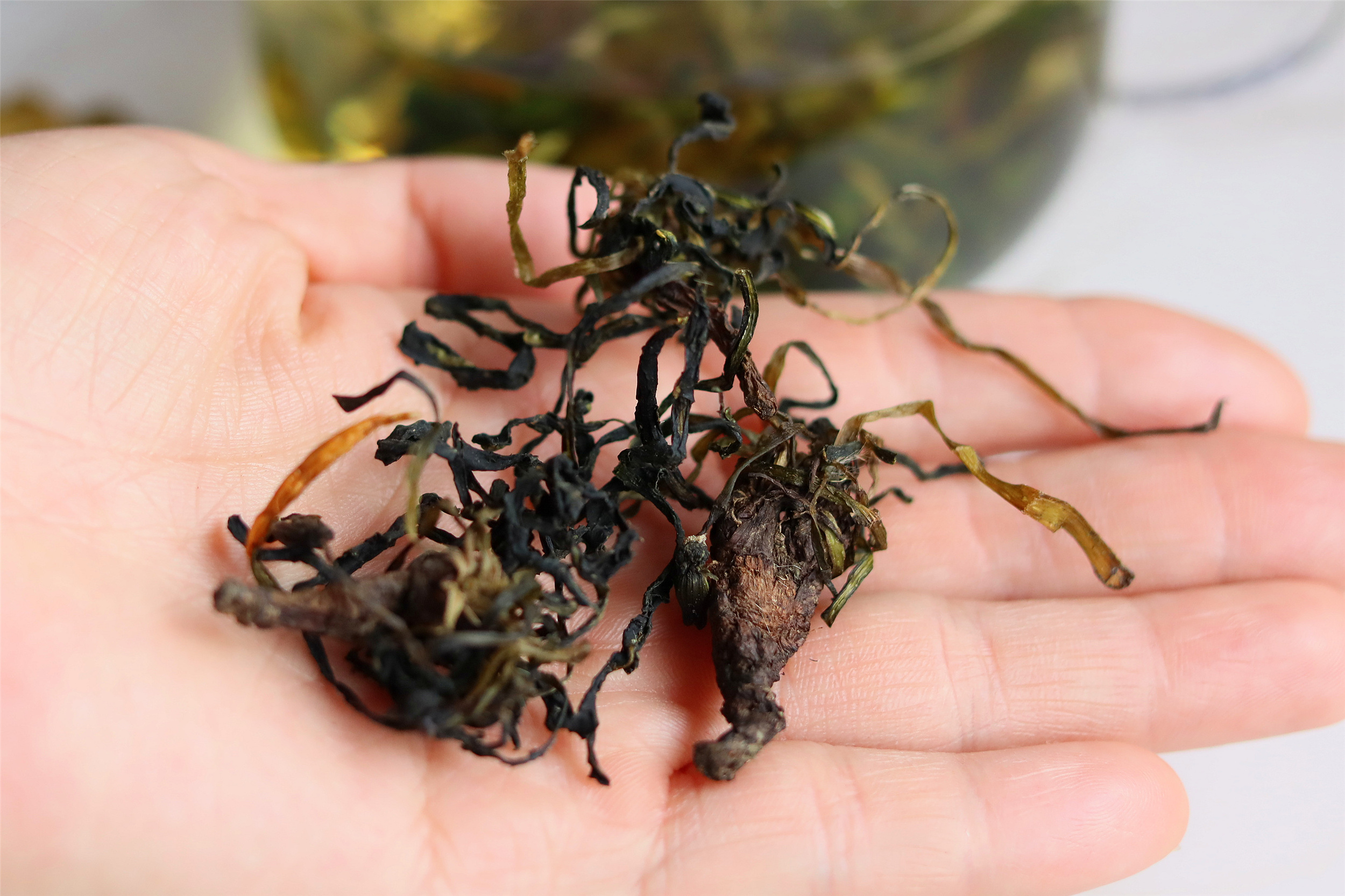 蒲公英茶的正确炒制方法,蒲公英杀青直接晒干的效果一样吗