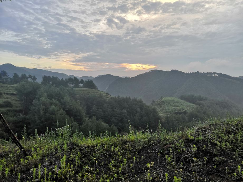 《山沟沟里飞向蓝天的雄鹰》～蔡鑫