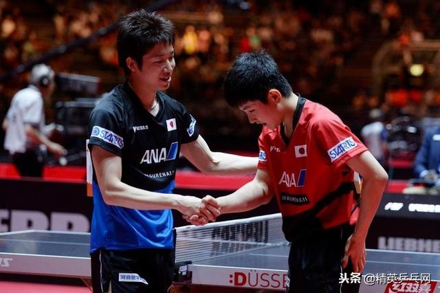 网友对张本智和的评价,张本智和吼叫声合集