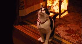 只要身体健康又努力,就能娶到广末凉子(笑)