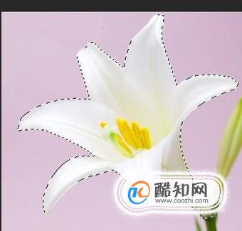 ps手机版基础教程新手入门,有哪些比较好的ps教程