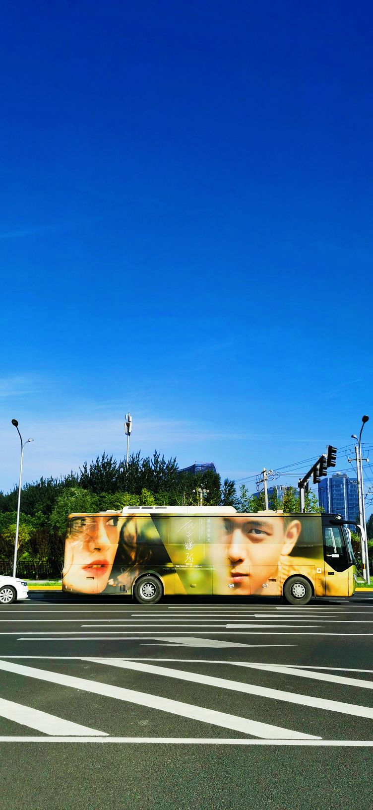 鍖椾含绉樺,鍖椾含绉樺涔嬫梾