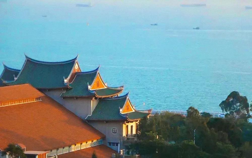 厦门大学宠学生,厦门大学宠学生吗