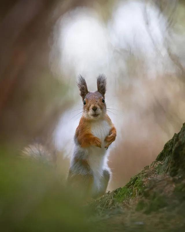 葬礼当天，她成为了四个孩子的“后妈”，网友：这是童话故事吧